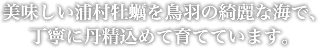 美味しい浦村牡蠣を鳥羽の綺麗な海で、丁寧に丹精込めて育てています。